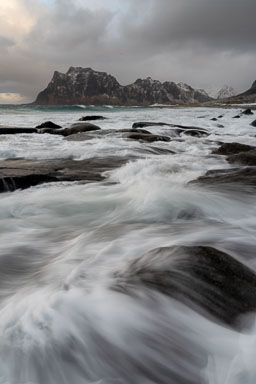 Barbee_250205_Z8_9060-Edit.jpg