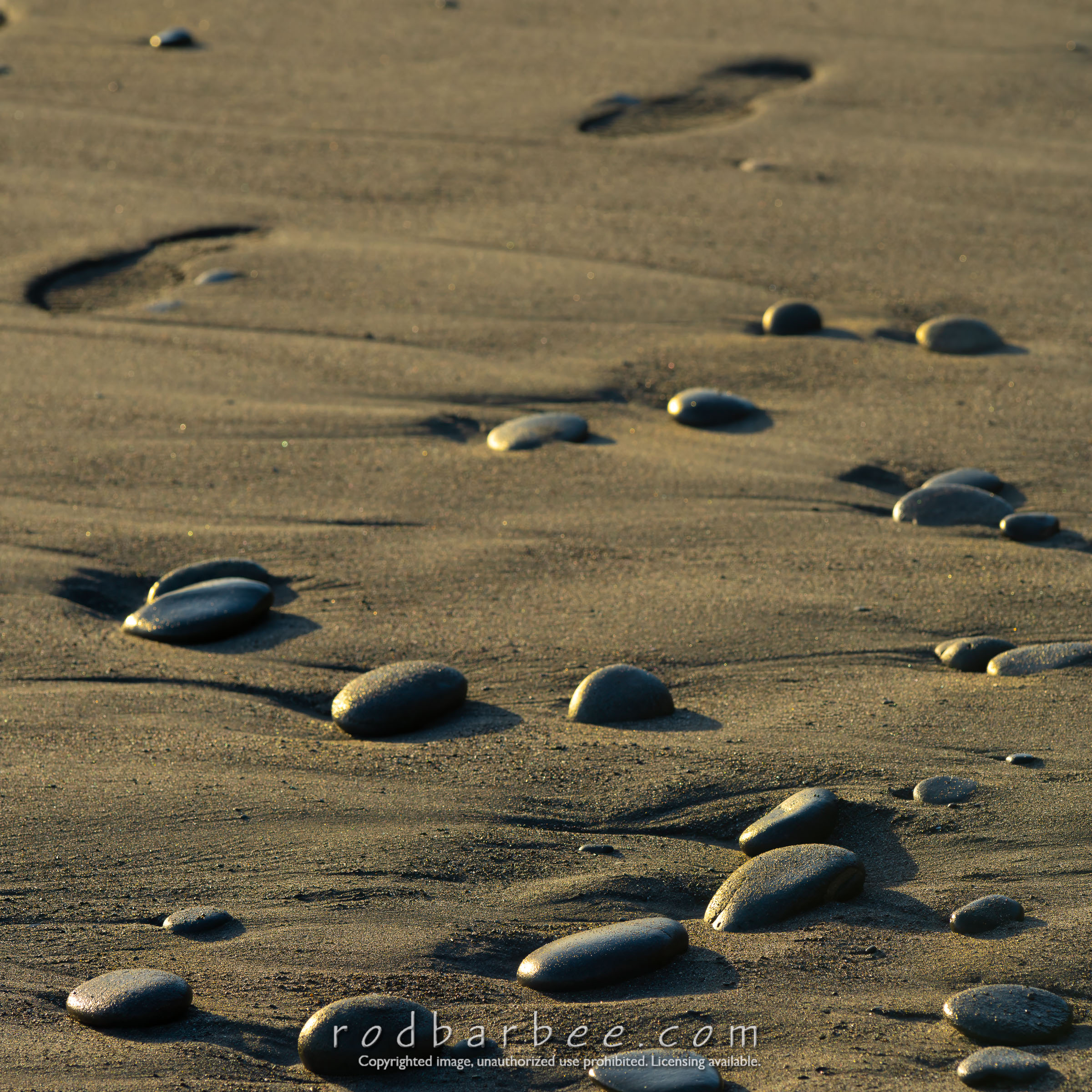 Right to left Barbee_240514_Z8_3662-Edit-Edit.jpg