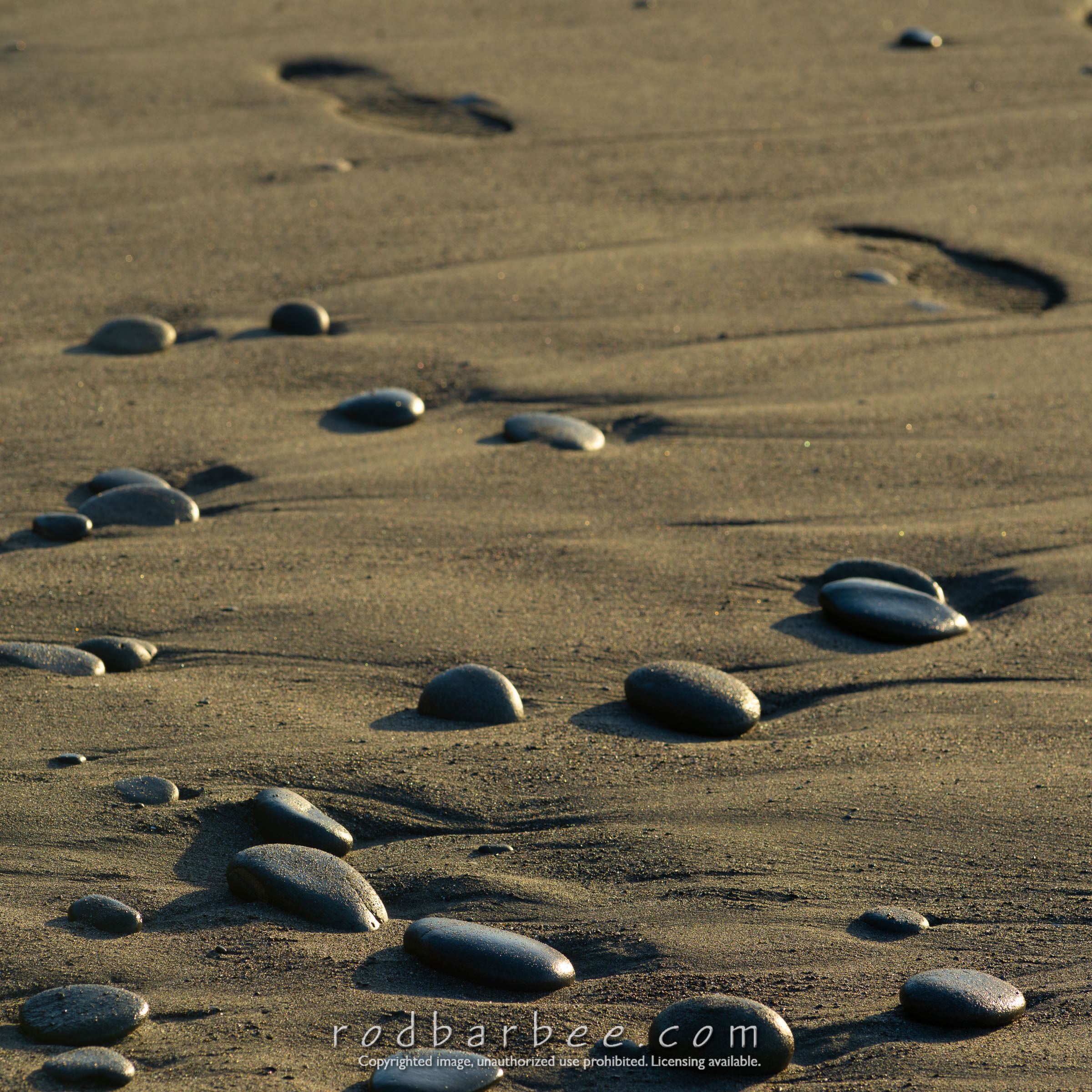 Left to right Barbee_240514_Z8_3662-flip-Edit.jpg