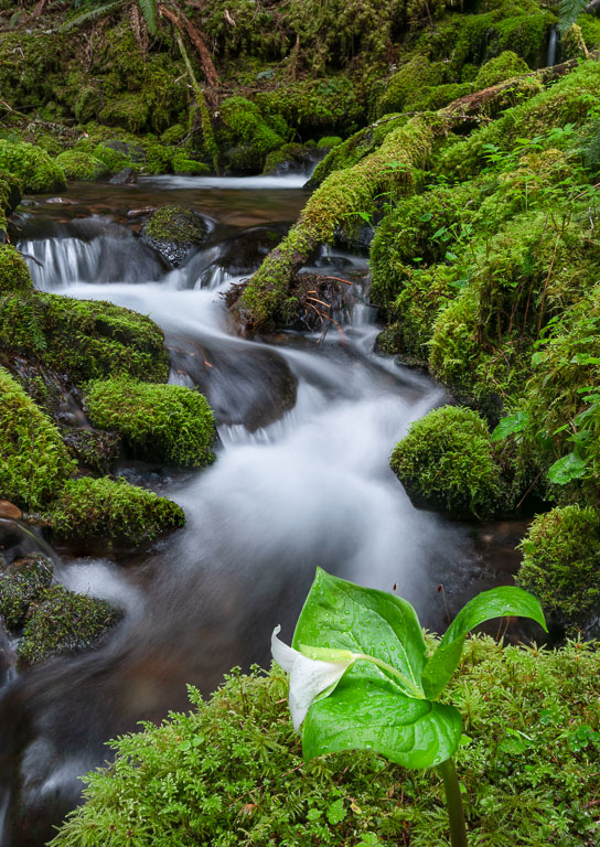 Barbee_210503_z6_0470-Edit.jpg